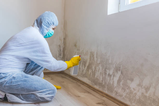 Mold inspector in Wharton performing thermal imaging